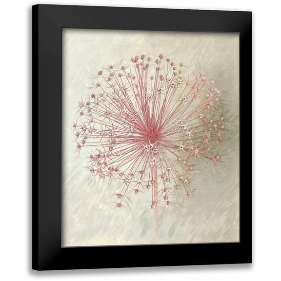 Verdonck, Elisabeth 12x14 Black Modern Framed Museum Art Print Titled - Allium Seedhead II