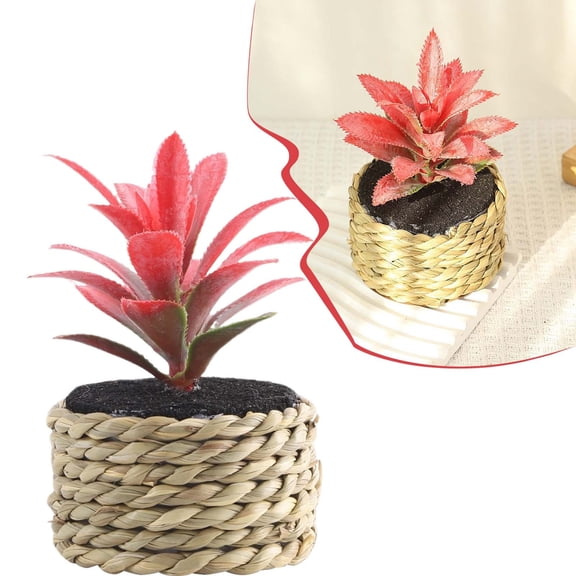 Verdsylv Artificial Pineapple Plant in Rattan Pot - Faux Potted Cactus - No Watering, No Sun - Perfect for Desktop, Bookshelf Or Office - Cute Exotic Style - Always Green