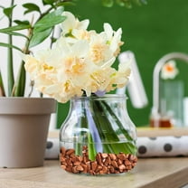 Verdsylv Polished Gravel Stones, Natural Polished Gravel Set (100G) - Small Grain Decorative River Stones for Aquariums & Potted Plants, Aquarium Substrate Rocks, A