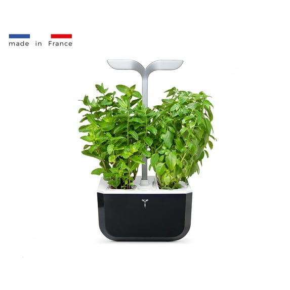 Veritable EXKY Smart Soft Black - Hydroponics Growing System, Indoor garden w/LED grow light, 2 Organic pre-seeded Lingots refills included. Self irrigation w/ blinking alert. Made in France