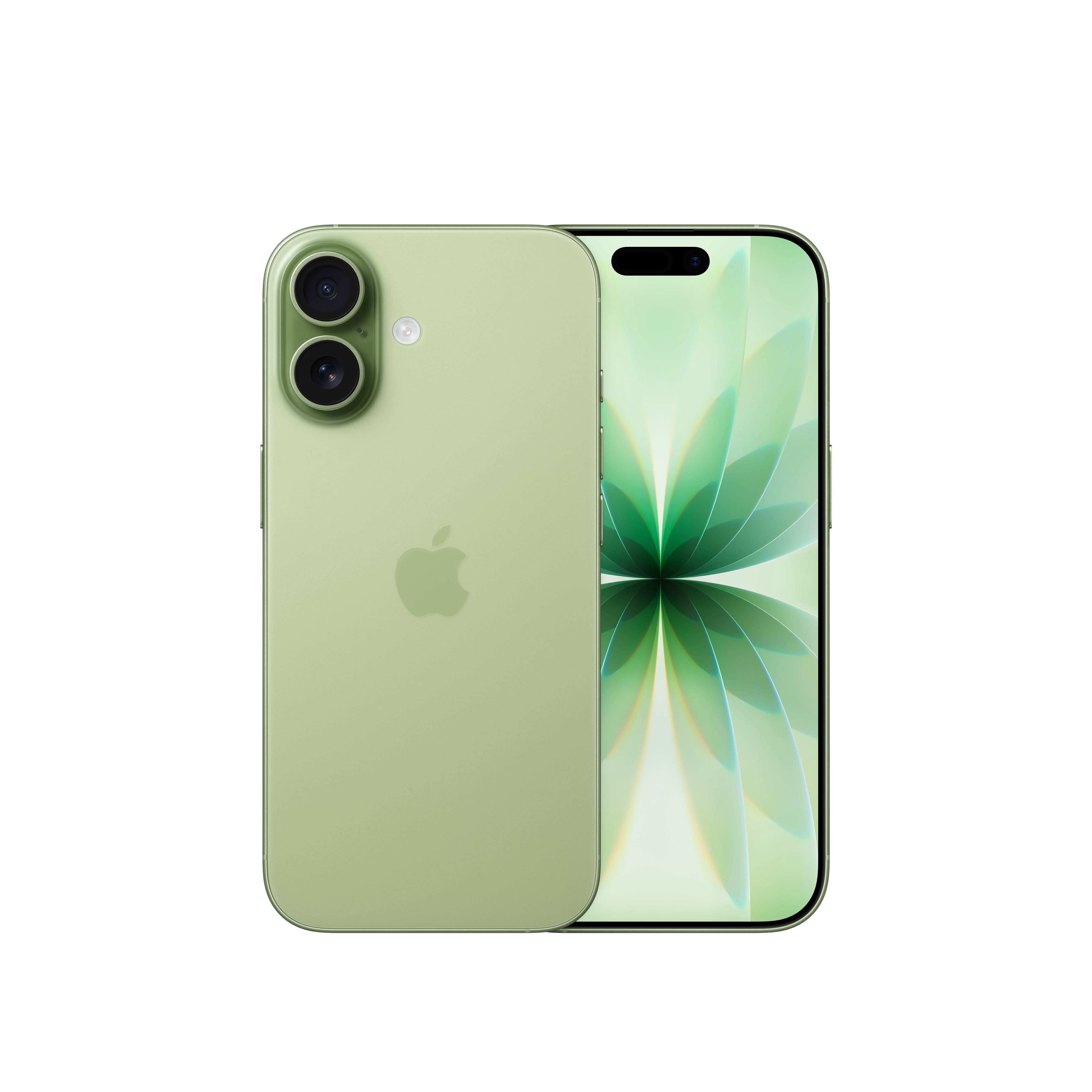 Verizon iPhone 17 512GB Sage