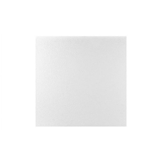 Verlans 2 ft. x 2 ft. Drop-In or Glue-Up Vinyl Ceiling Tile in White - Box of 10