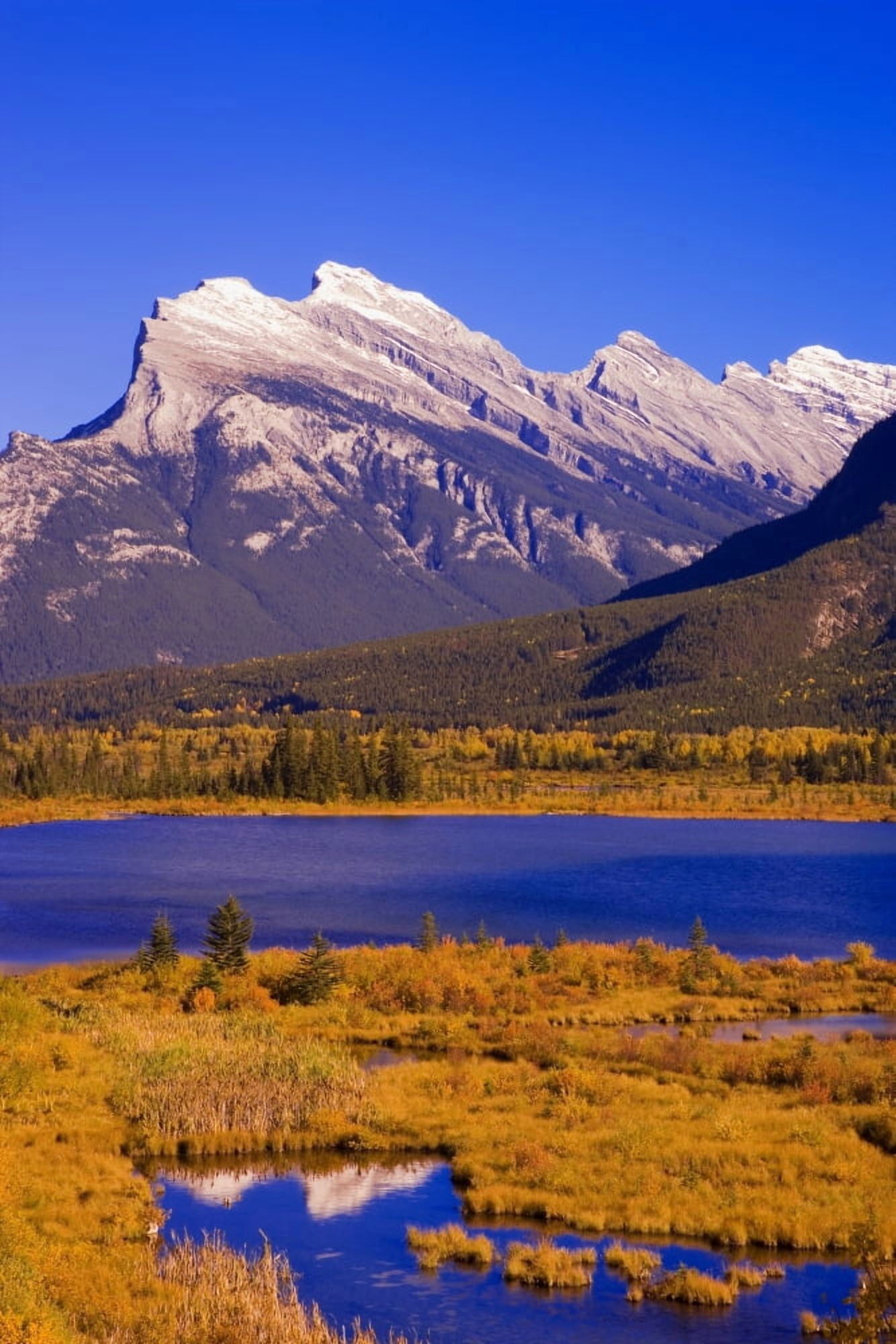 Vermilion Lakes And Mount Rundle In Banff National Park Alberta Canada Canvas Art - Carson Ganci Design Pics (11 x 17)