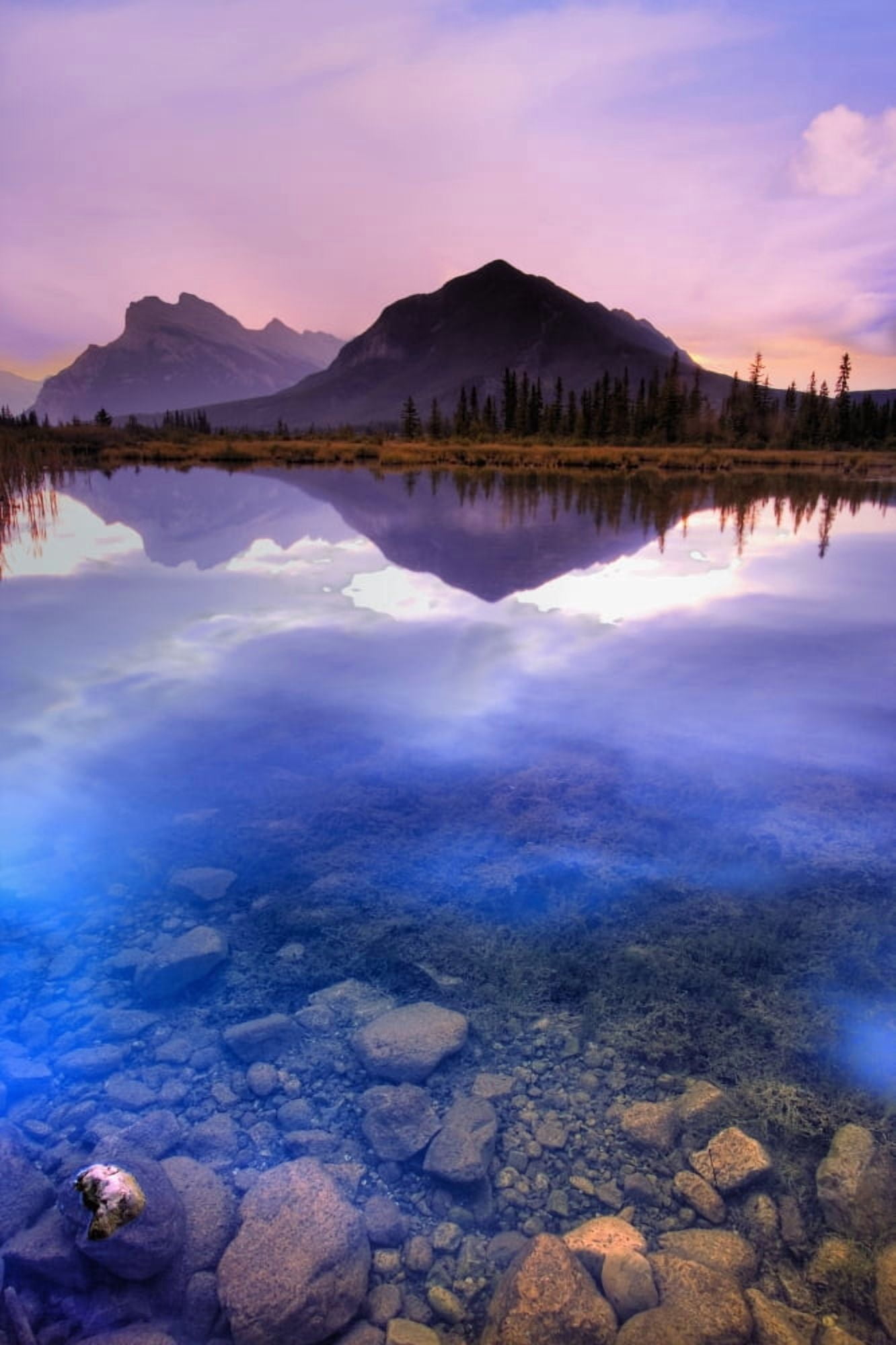 Vermilion Lakes Mount Rundle Banff National Park Alberta Canada Canvas Art - Carson Ganci Design Pics (11 x 17)