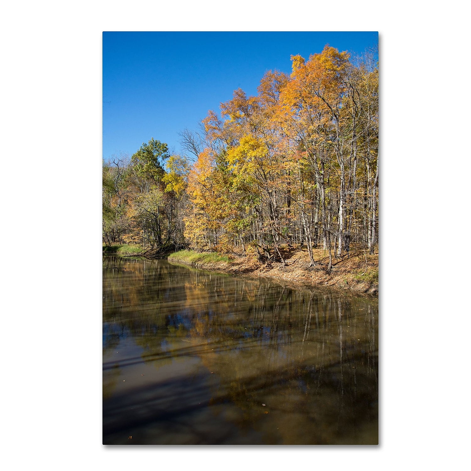 "Vermilion River Autumn" Canvas Art by Kurt Shaffer
