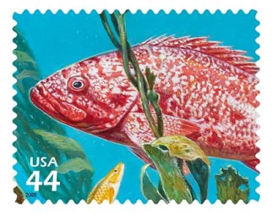 Vermilion Rockfish Canvas Art - US POSTAL SERVICE (22 x 28)