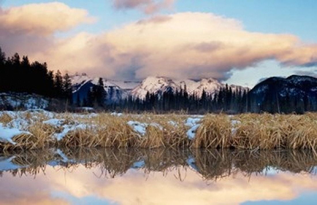 Vermillion Lake Banff National Park Alberta Canvas Art - Paul Colangelo DanitaDelimont (36 x 24)