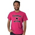 thumbnail image 1 of Vermont Cute Cursive Souvenir VT Plus Size Crewneck Graphic Tee Shirt Brisco Brands 3X, 1 of 3
