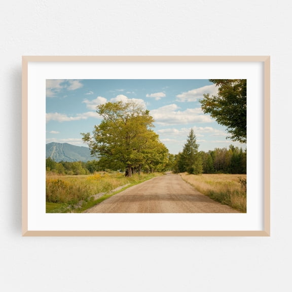 Vermont Rural 01 - Burke Vermont Photography Landscape Nature Rural Scenic Countryside Autumn Oak Framed Wall Art Print 16 x 24 inches