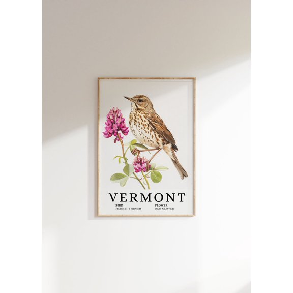 Vermont State Bird Art : Hermit Thrush & Red Clover Unframed Paper Print