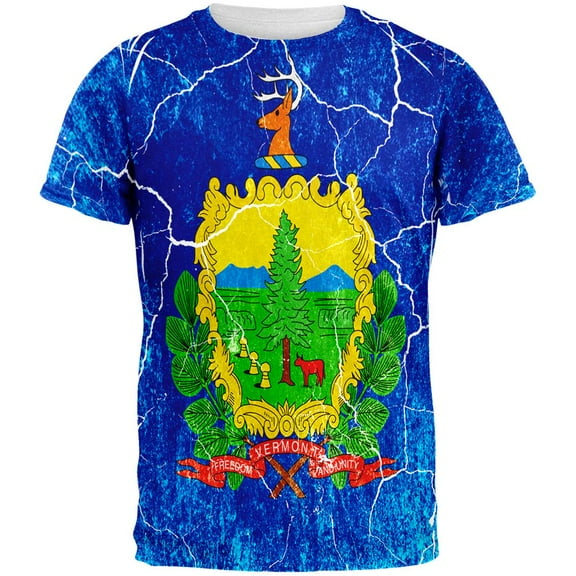 Vermont Vintage Distressed State Flag All Over Mens T Shirt Multi SM