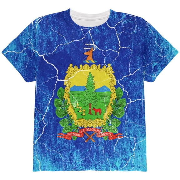 Vermont Vintage Distressed State Flag All Over Youth T Shirt Multi YXL