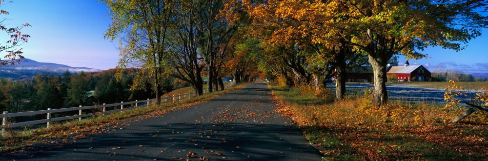 Vermont country road in autumn Canvas Art - Panoramic Images (27 x 9)