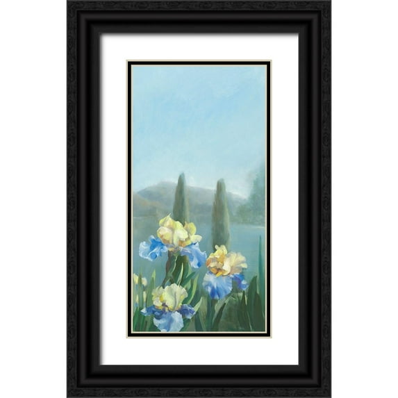 Vernageau, Sylvie 14x24 Black Ornate Wood Framed with Double Matting Museum Art Print Titled - Isola Bella III