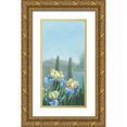 thumbnail image 1 of Vernageau, Sylvie 14x24 Gold Ornate Wood Framed with Double Matting Museum Art Print Titled - Isola Bella III, 1 of 4