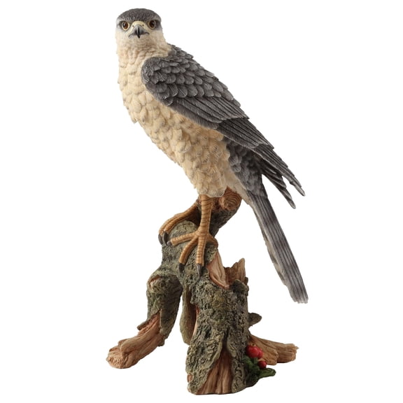 Veronese Design 11 1/8 Inch Sparrow Hawk Hand Painted Polyresin Figurine Animal Sculpture