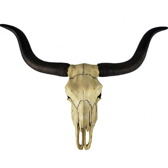 Veronese Design 14 Inch Long Horn Animal Skull Resin Wall Sculpture