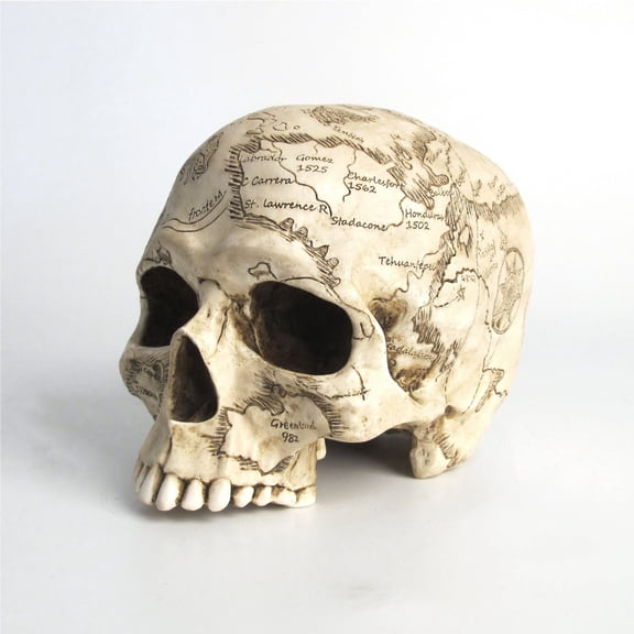 Veronese Design 5 3/8" Craniumography Skull Map Polyresin Hand Painted Sculpture