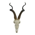 thumbnail image 1 of Veronese Design African Kudu Antelope Skull Wall Hanging Cool Twisted Horns, 1 of 5