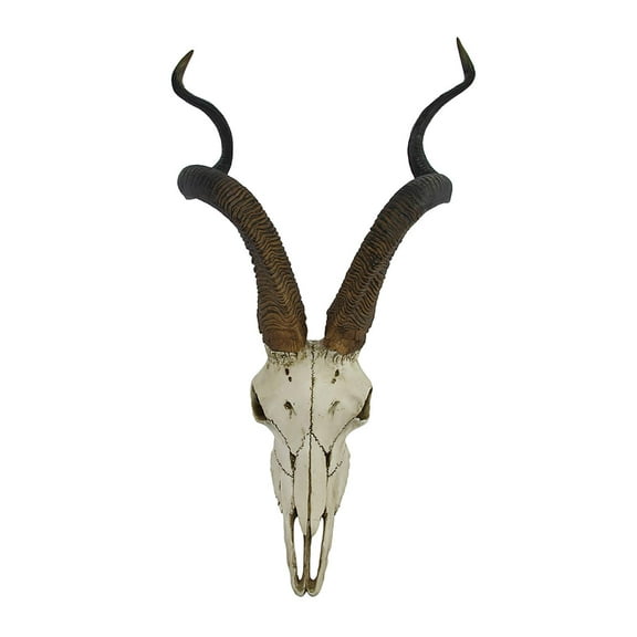 Veronese Design African Kudu Antelope Skull Wall Hanging Cool Twisted Horns