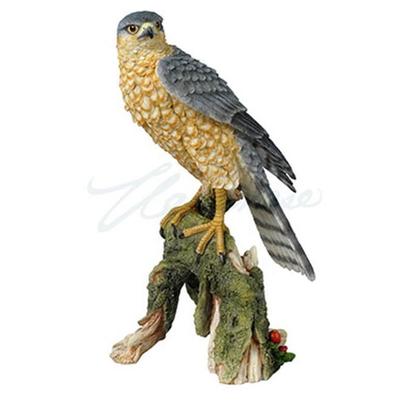 Veronese Design WU74642AA Sparrow Hawk on mossy limb Decor