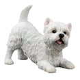 thumbnail image 1 of Veronese Design West Highland White Terrier Dog Sculpture, 1 of 1