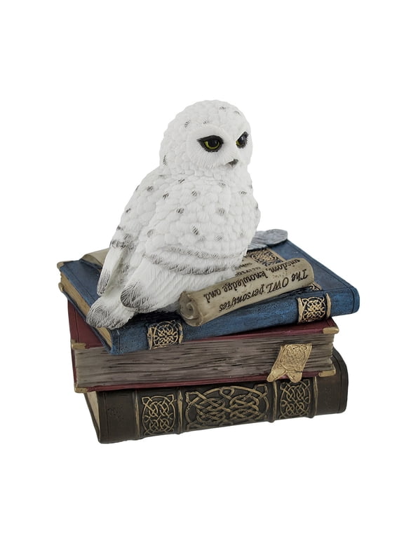 Wise Snow Owl Resting on Scholar`s Books Trinket Box