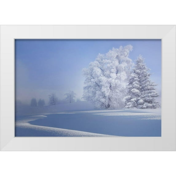 Veroniques 14x11 White Modern Wood Framed Museum Art Print Titled - Crispy Morning