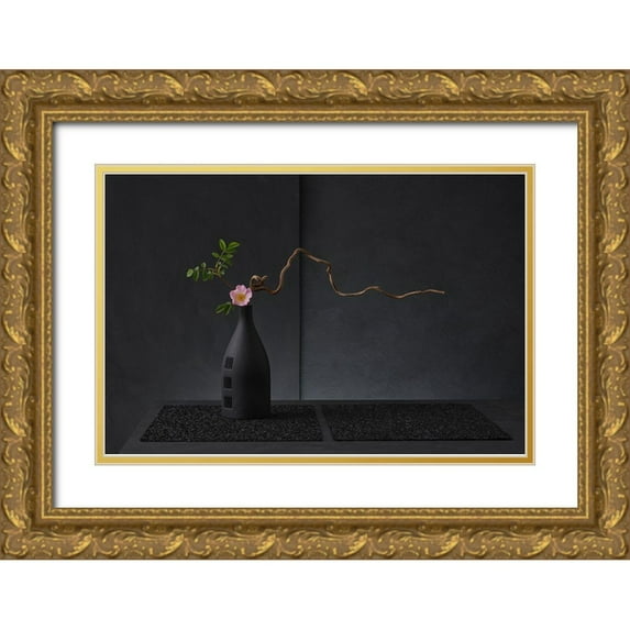 Verot, Christophe 18x13 Gold Ornate Wood Framed with Double Matting Museum Art Print Titled - Rosa Canina