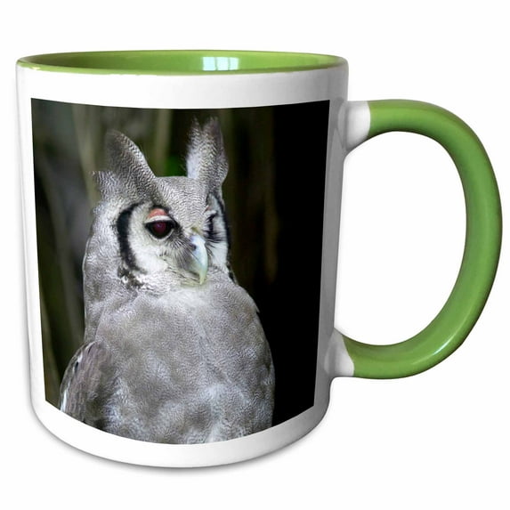 Verreauxs Eagle-owl, Bubo lacteus, Gauteng, South Africa. 15oz Two-Tone Green Mug mug-207989-12