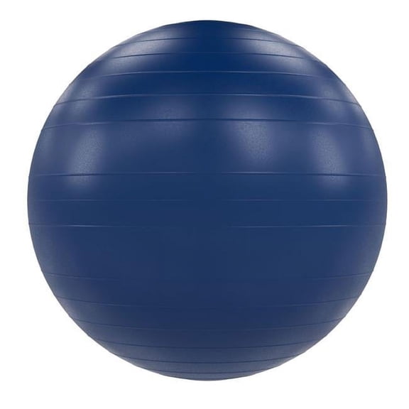 VersaBall Pro 55cm - Navy