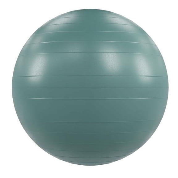 VersaBall Pro 55cm - Sage Green