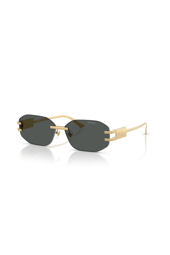 Sunglasses VE2274 100287 58mm Gold / Dark Grey Lens