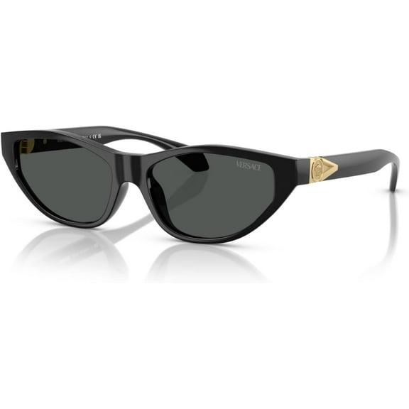 Versace Sunglasses VE4491U GB1/87 55mm Black / Dark Grey Lens
