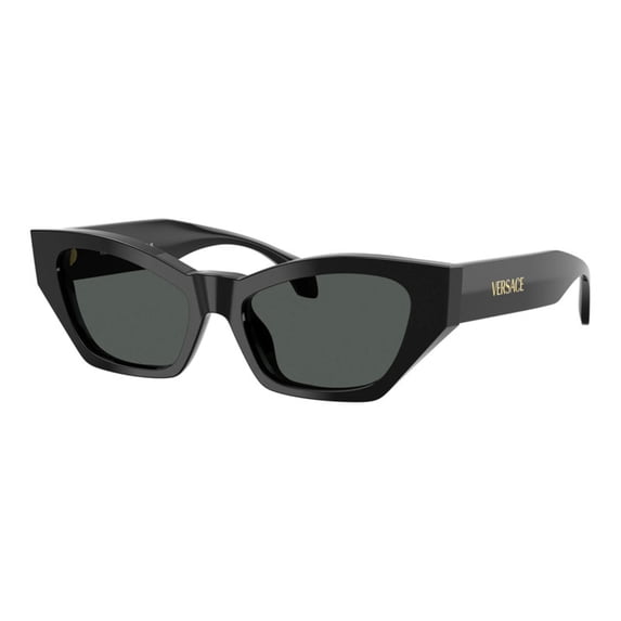 Versace VE 4488U Plastic Womens Cat-Eye Sunglasses Black 53mm Adult