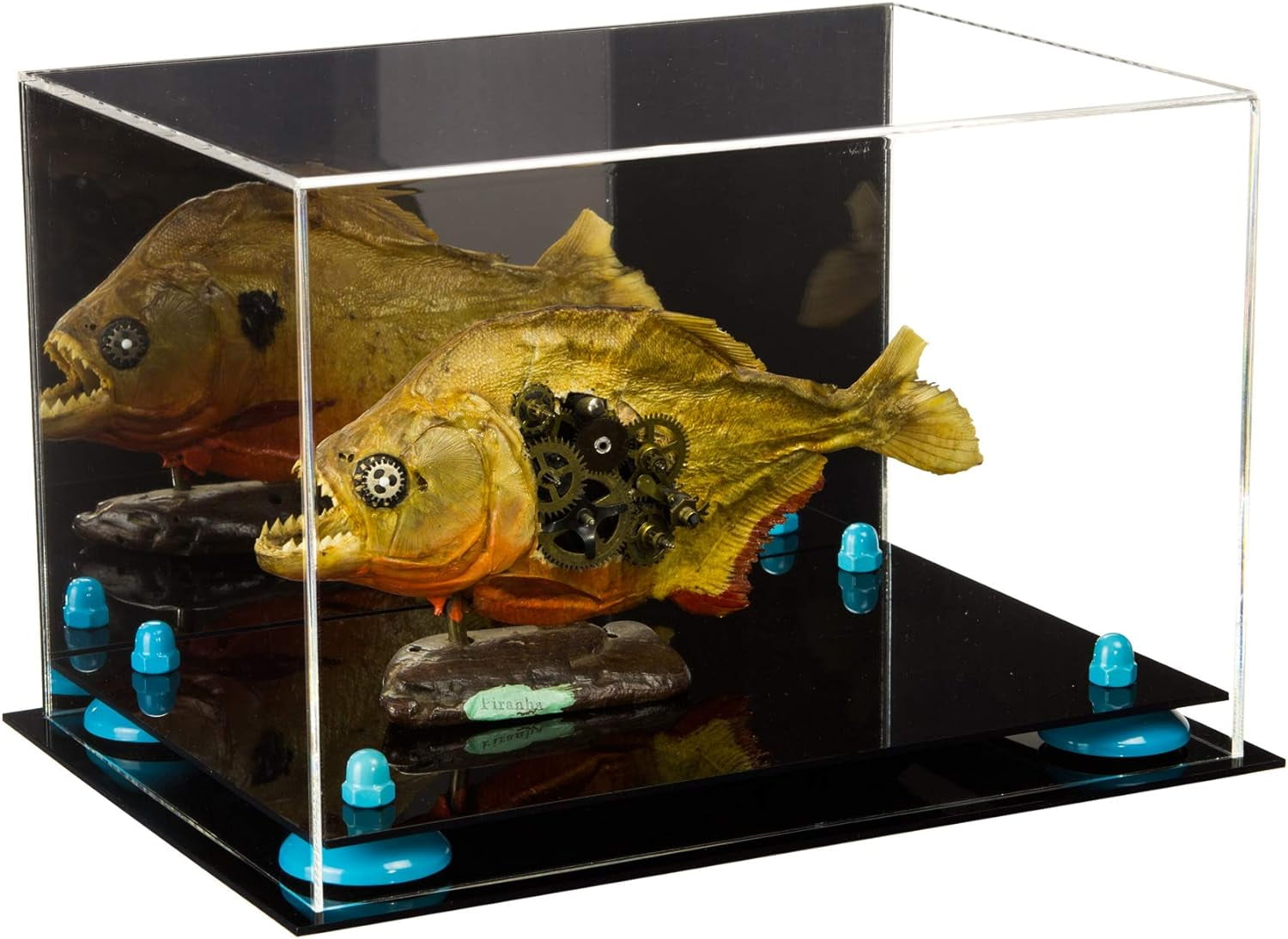 Versaile Display Case Medium Recangle Box Wih Mirror And Ligh Blue versaile-display-case-medium-recangle-box-wih-mirror-and-ligh-blue