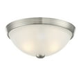 thumbnail image 1 of Versatile 2-Light Ceiling Light, 1 of 6