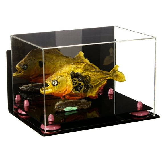 Versatile Acrylic Display Case - Medium Rectangle Box with Mirror, Wall Mount and Pink Risers 12" x 8.25" x 8" (A004-PNR)