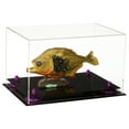 thumbnail image 1 of Versatile Clear Acrylic Display Case - Medium Rectangle Box with Purple Risers 12" x 8.25" x 8" (A004-PR), 1 of 2