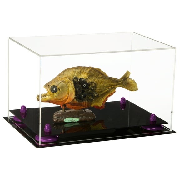 Versatile Clear Acrylic Display Case - Medium Rectangle Box with Purple Risers 12" x 8.25" x 8" (A004-PR)