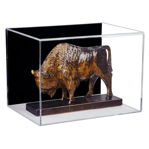 Versatile Deluxe Acrylic Display Case with Black Back Horizontal Wall Mount 10.5" x 10.5" x 14.5" (A087-BB-HWM)
