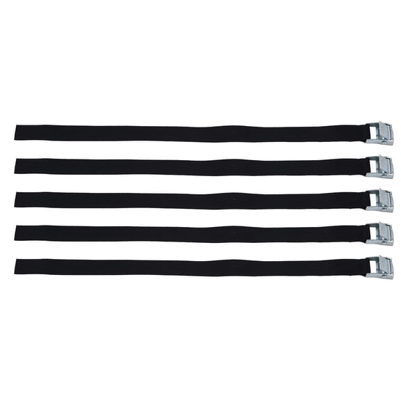Versatile Lashing Straps, 10 Piece Set, Zinc Alloy Buckles, Ideal for Trucks, Luggage  More