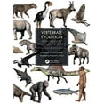 thumbnail image 1 of Pre-Owned Vertebrate Evolution: From Origins to Dinosaurs and Beyond, 9780367473167, 036747316X, Paperback, 1 edition, 1 of 1