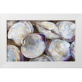 thumbnail image 1 of Vertentes, Jeanette 14x10 White Modern Wood Framed Museum Art Print Titled - Clambake Cluster, 1 of 4