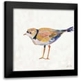 thumbnail image 1 of Vertentes, Jeanette 15x15 Black Modern Framed Museum Art Print Titled - Coastal Plover IV Linen, 1 of 5