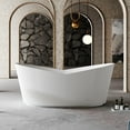 thumbnail image 1 of Vertical 67 Inch Acrylic Fluted Double Slipper Freestanding Tub, 1 of 1