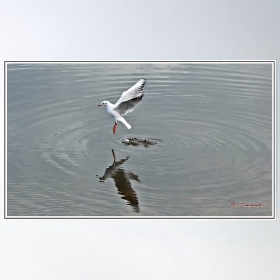 Vertical Take Off" Poster Wall Art, Modern Wall Decor For Living Room Bedroom, 24x36 UNFRAMED