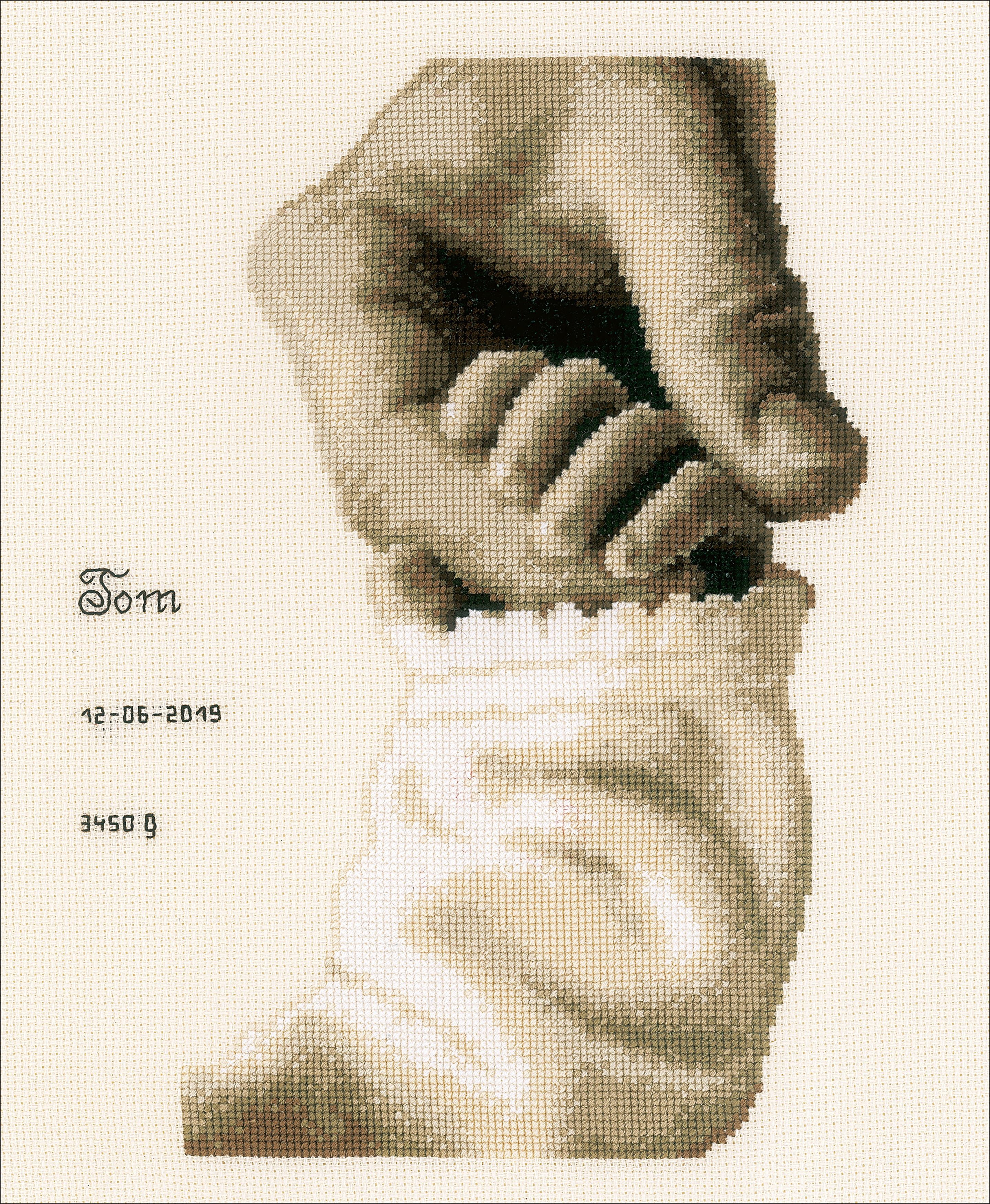Vervaco Birth Record Counted Cross Stitch Kit 7.2"X9.6"-Baby Love On Ecru (18 Count)