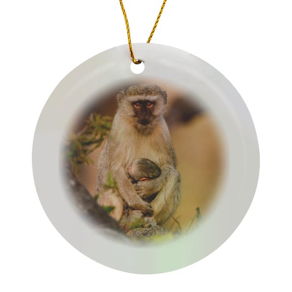 Vervet Monkey And Infant, Okavango Delta, Botswana., Circle Porcelain Ornament