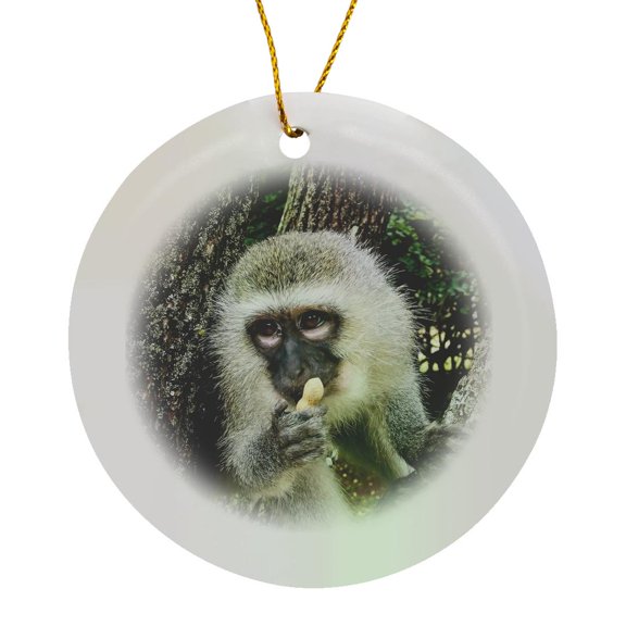 3drose, Vervet Monkey. East Africa., Circle Porcelain Ornament